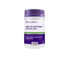 Advanced Joint Support with MSM, Ginger & Devil’s Claw