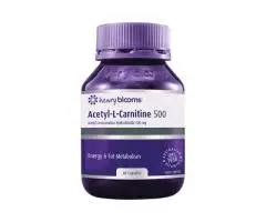 Premium Energy & Metabolism Support Capsules