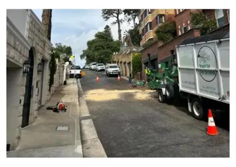 Tree Removal Killara - 1/1