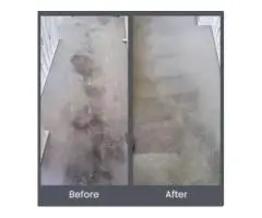 Say Goodbye to Stains with Dry Carpet Clean in Adelaide