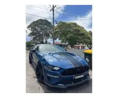 The Tinted Detailer - 3