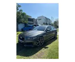 The Tinted Detailer - 4