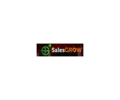 Professional Email Marketing Services in Brisbane & Queensland | SalesGrow