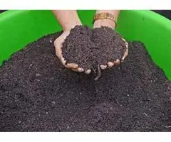 How Soil Health Affects Slow Release Organic Fertiliser Performance