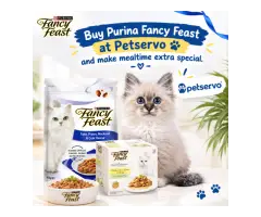 Buy Purina Fancy Feast Cat Food at Petservo – Make Mealtime Extra Special!