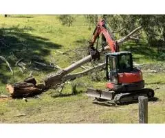 Tree Trimming Hawkesbury