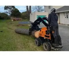 Tree Removal Burwood