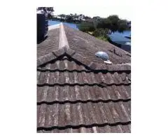 Roof Leak Repair Adelaide – Stop Leaks before They Spread