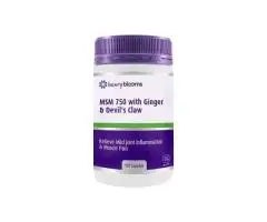 Henry Blooms MSM 750 With Ginger & Devil's Claw – 120 Capsules