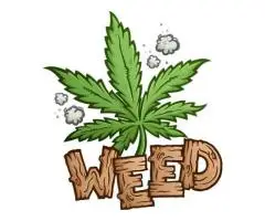 BUY CANNABISZZ MUSHROOMZZ | BUY IBOGA\IBOGAINE